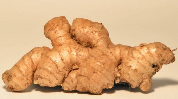 The Health Benefits of Ginger - Ginger Facts and Health Benefits