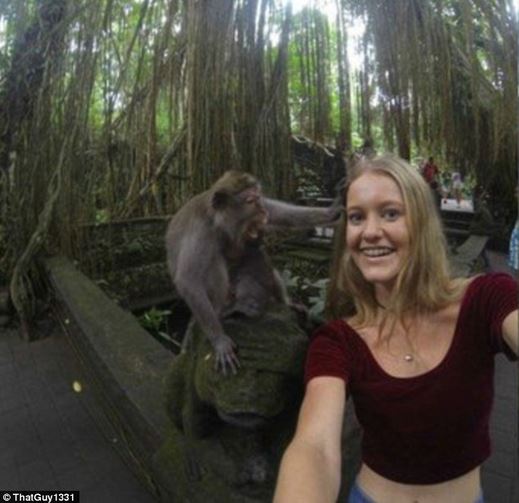 Selfie gone wrong with monkey