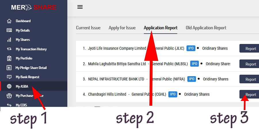 check ipo result